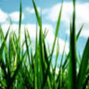 Meet your Posher, Jerry